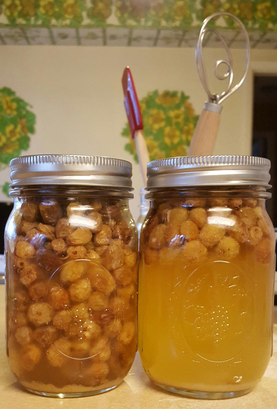 ReUsing Yeast Water Raisins Y/N? The Fresh Loaf